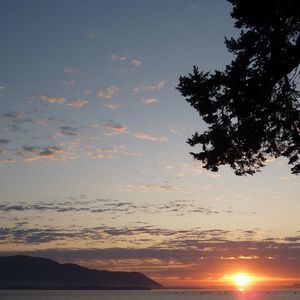 Meet your Posher, Cheri